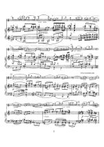 Барток Б. Концерт для скрипки №1_Страница_03.jpg