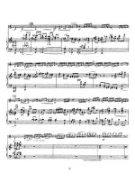 Барток Б. Концерт для скрипки №1_Страница_09.jpg