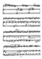 Барток Б. Концерт для скрипки №2_Страница_08.jpg