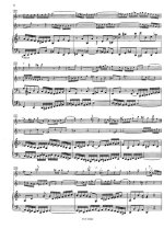 Бах И.С. Концерт для двух скрипок и камерного оркестра_Страница_03.jpg