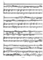 Бах И.С. Концерт для двух скрипок и камерного оркестра_Страница_05.jpg