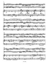 Бах И.С. Концерт для двух скрипок и камерного оркестра_Страница_07.jpg