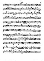 Бах И.С. Сонаты для скрипки и клавира №1-3_Страница_05.jpg