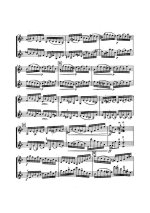 Бах-Брамс. Престо для двух скрипок_Страница_02.jpg