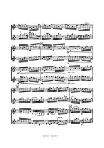 Бах-Брамс. Престо для двух скрипок_Страница_03.jpg