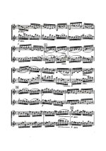 Бах-Брамс. Престо для двух скрипок_Страница_05.jpg