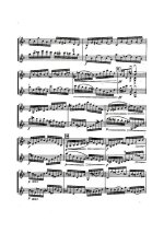 Бах-Брамс. Престо для двух скрипок_Страница_07.jpg