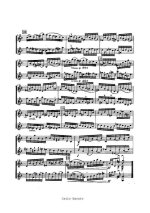 Бах-Брамс. Престо для двух скрипок_Страница_09.jpg