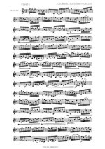 Бах-Брамс. Престо для двух скрипок_Страница_10.jpg