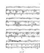 Безекирский В. Легенда для скрипки и фортепиано_Страница_07.jpg