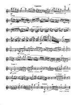 Безекирский В. Ноктюрн_Страница_7.jpg