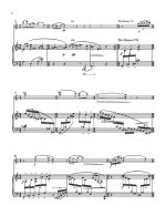 Белкин А. Соната для скрипки и фортепиано_Страница_08.jpg