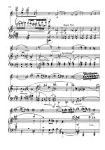 Берг А. Марш и Колыбельная из оперы Воццек для скрипки и фортепиано_Страница_03.jpg