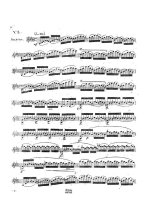 Берио Ш. 6 блестящих этюдов op.17_Страница_08.jpg