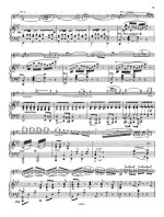 Берио Ш. Концерт №8 для скрипки с оркестром_Страница_07.jpg