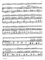 Берио Ш. Концерт №10 для скрипки с оркестром_Страница_03.jpg