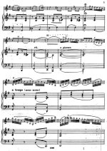 Берио Ш. Фантазия на тему песни Даргомыжского Душечка девица_Страница_06.jpg