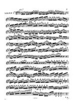 Бертуцци П. 10 каприсов для скрипки_Страница_03.jpg