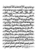 Бертуцци П. 10 каприсов для скрипки_Страница_04.jpg