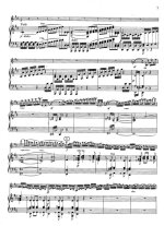 Бетховен Л. Концерт для скрипки_Страница_07.jpg