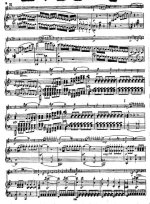 Бетховен Л. Соната для скрипки и фортепьяно №5_Страница_06.jpg