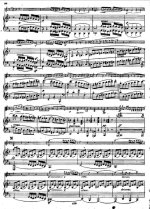 Бетховен Л. Соната для скрипки и фортепьяно №5_Страница_08.jpg