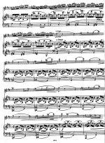 Бом К. Каприччио Бабочка_Страница_2.jpg