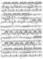 Бом К. Каприччио Бабочка_Страница_3.jpg