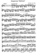 Бом К. Каприччио Бабочка_Страница_7.jpg