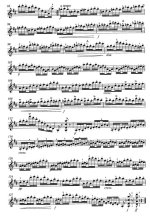 Бом К. Каприччио Бабочка_Страница_9.jpg