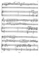 Боттезини Д. Концертный дуэт для скрипки и контрабаса с фортепиано_Страница_06.jpg