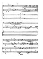 Боттезини Д. Концертный дуэт для скрипки и контрабаса с фортепиано_Страница_07.jpg