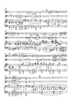 Брух М. Концерт для кларнета (скрипки) и альта с оркестром_Страница_004.jpg