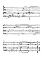 Брух М. Концерт для кларнета (скрипки) и альта с оркестром_Страница_010.jpg