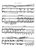 Бузони Ф. Концерт для скрипки_Страница_05.jpg