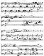 Бузони Ф. Соната №2 для скрипки и фортепиано op.36a BV 244_Страница_04.jpg