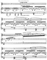 Бузони Ф. Соната №2 для скрипки и фортепиано op.36a BV 244_Страница_09.jpg