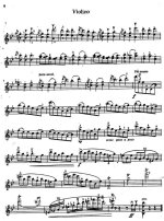 Вагнер Р. Танец из оперы Нюрнбергские миннезингеры_Страница_03.jpg