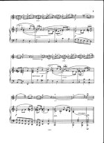 Валентини Р. Соната Ля-минор_Страница_02.jpg