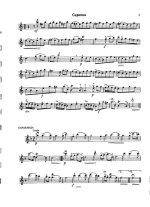 Валентини Р. Соната Ля-минор_Страница_09.jpg