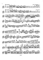 Василенко С. Концерт для скрипки op.25_Страница_07.jpg