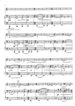 Васкс П. Концерт для скрипки Distant Light_Страница_06.jpg