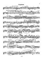 Венявский Г. Вариации на оригинальную тему_Страница_5.jpg