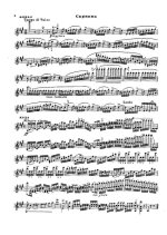 Венявский Г. Вариации на оригинальную тему_Страница_6.jpg