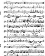 Венявский Г. Концерт для скрипки №1_Страница_07.jpg