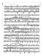 Венявский Г. Сонатное Аллегро op.2_Страница_05.jpg