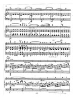 Венявский Г. Сонатное Аллегро op.2_Страница_06.jpg