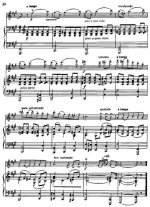 Верачини Ф. Ларго_Страница_4.jpg