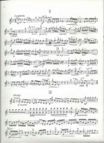 Вивальди А. Концерт для двух скрипок с оркестром a-moll_Страница_06.jpg