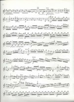 Вивальди А. Концерт для двух скрипок с оркестром a-moll_Страница_12.jpg